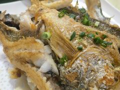 -老字号蛇口德记烧腊饭店·海鲜加工