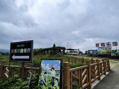 -光明小镇欢乐田园