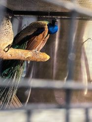 -酷嗒动物文化乐园(cutezoo西溪乐天城店)