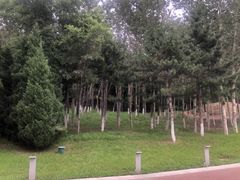 -莫子山公园