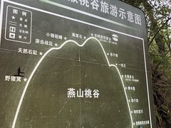 -大岭沟猕猴桃谷风景区