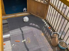 -青岛鑫江温德姆酒店