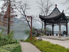 -重庆彩云湖湿地公园