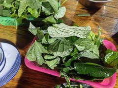-霞姐屯昌枫木香草鸭店(海螺店)