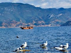 -丽江泸沽湖景区