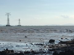 -宝安西湾红树林湿地公园