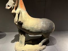 -大同市博物馆