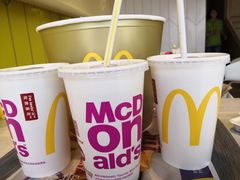 -麦当劳(塔园路店)