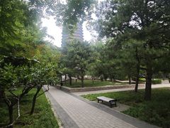 -玲珑塔公园