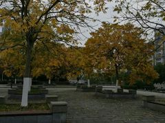 -江南大学(蠡湖校区)
