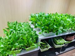 -大丰炊(睢阳大道店)