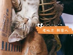 -老地方面馆(思南路店)