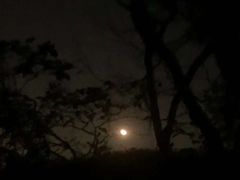 -紫金山天文台
