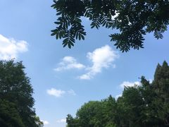 -重庆彩云湖湿地公园