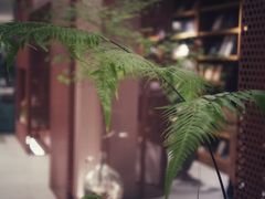 -二酉书店TOYOU BOOKS