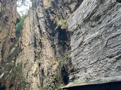 -武陵山森林公园