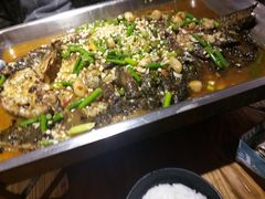 鲶鱼-千子脆皮烤鱼(罗斯福店)