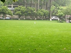 -杭州花家山庄