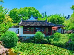 -上海醉白池公园