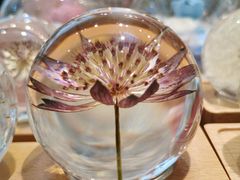 -谷莠子花艺·气球派对·绿植造景·花艺沙龙(金光华广场店)