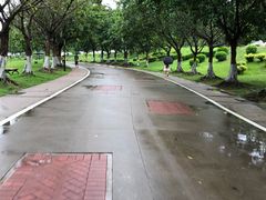 -北京师范大学(珠海校区)