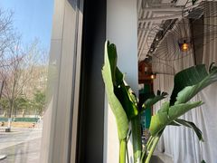 -The Rug Cafe(王府中环店)