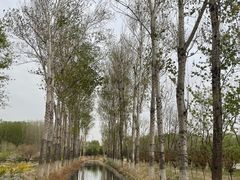 -东郊湿地公园