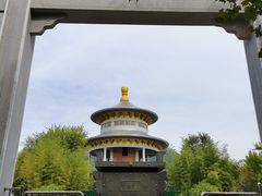 -白佛山景区