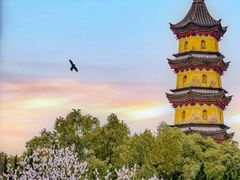 -阿育王寺