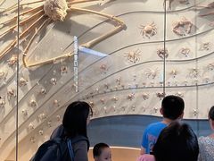 -中国湿地博物馆