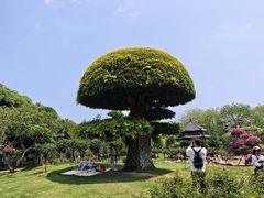 -南宁南湖公园