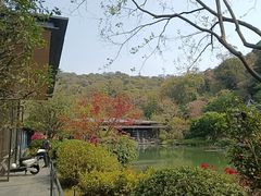 -云溪植物园