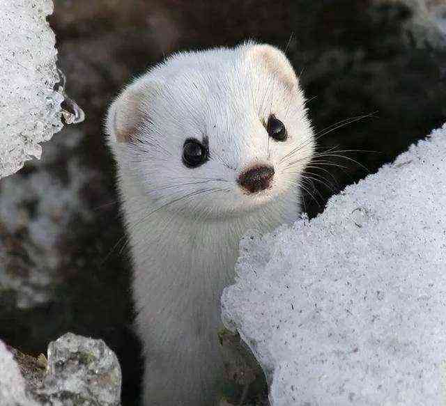 商品:包包 鞋靴 东西倒是没买～本来就没有上班