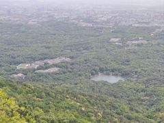 -紫金山山顶公园