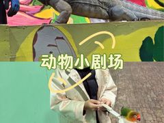 -上海大自然野生昆虫馆(东方明珠·爬宠昆虫探索中心)