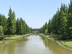 -黄海国家森林公园