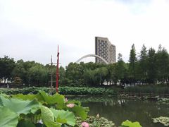 -陈家山荷花公园