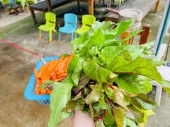 -上海佘山世茂艾美酒店