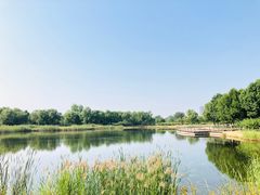 -永定河休闲森林公园