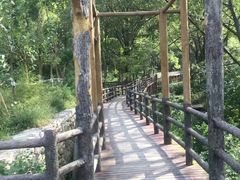 -木兰云雾山