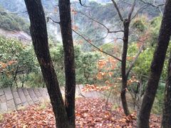 大慈岩-大慈岩风景区