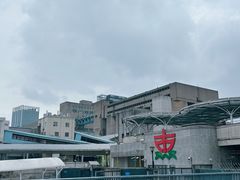 -丹东路渡口(轮渡站)