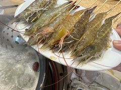 -濠轩阁特色生蚝火锅(水湾路店)