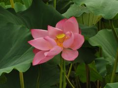-东湖磨山景区