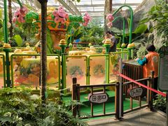 -南宫五洲植物乐园