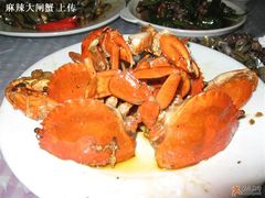 肥美的煎蟹-莲花公园煎蟹(总店)