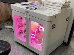 -小呆的宠物店·宠物售卖·宠物寄养(城西店)