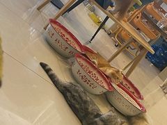 -平行世界·猫咖(首经贸店)