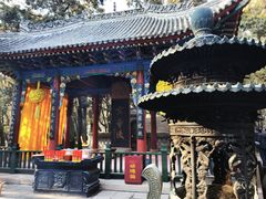 -黄帝陵