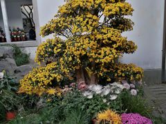 -杭州植物园